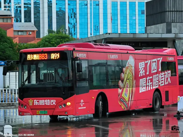桂A 00230D