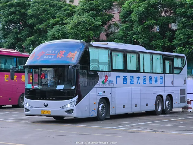 桂A 93388