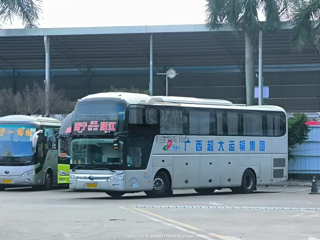 桂A M6539