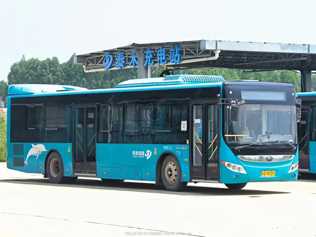 桂A V8035