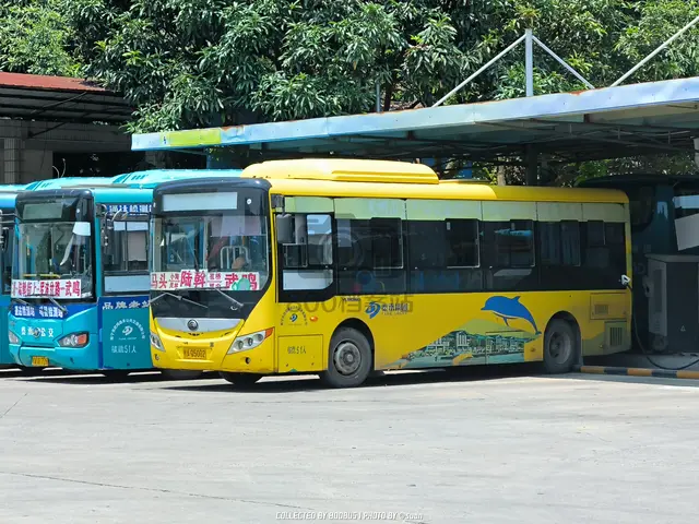 桂A Q5002
