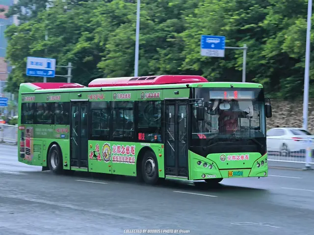 桂A 01255D