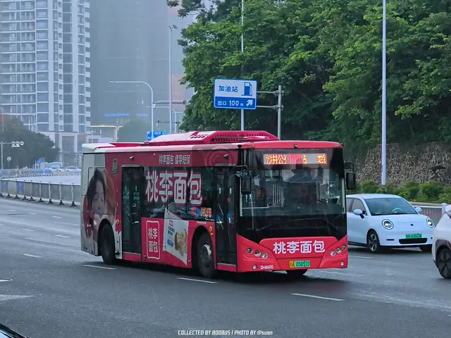 桂A 05851D