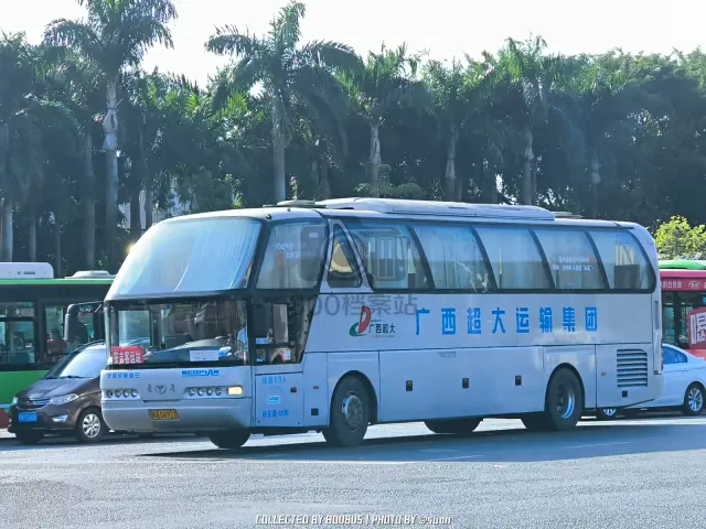 800BUS