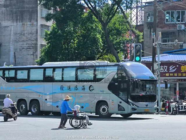 800BUS