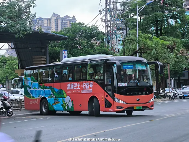 800BUS