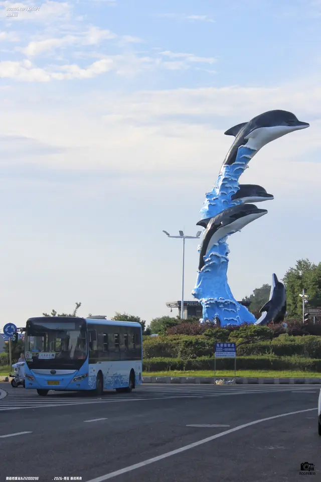 鲁F P2678