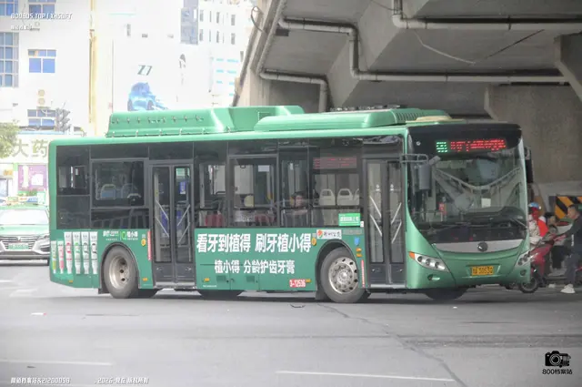 800BUS