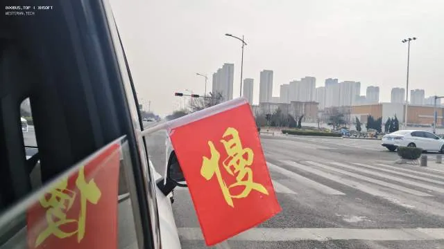 萝卜 车牌不知道