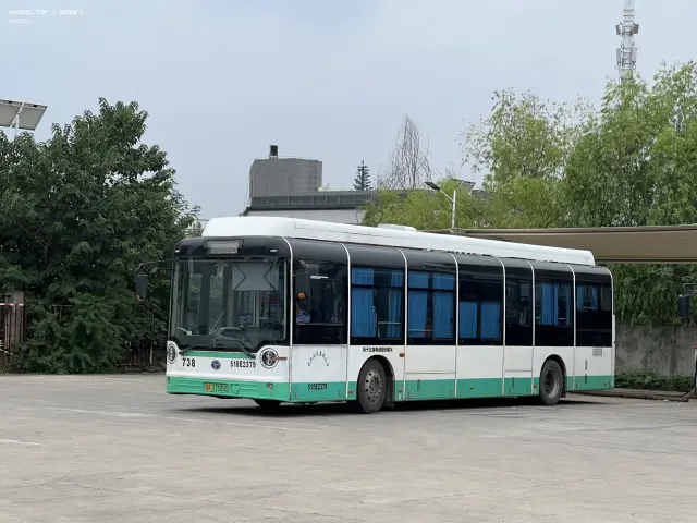 800BUS