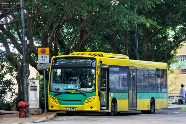 800BUS