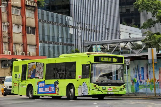 800BUS