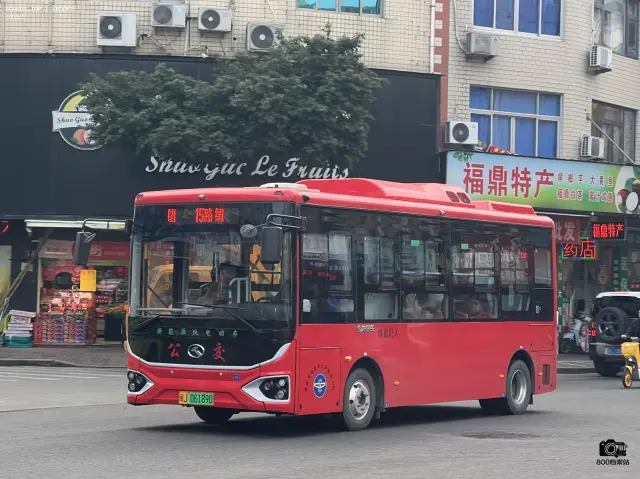 800BUS