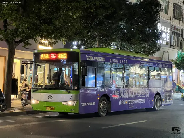 800BUS