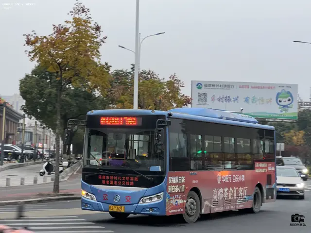 800BUS