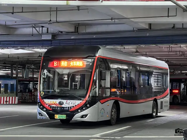 800BUS