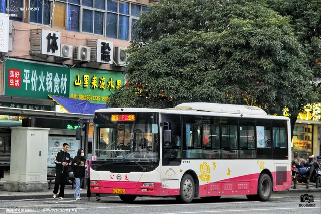 闽J Y6085