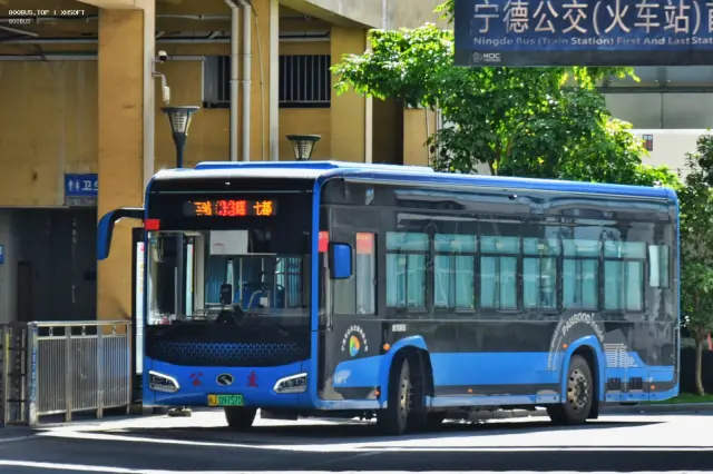 800BUS