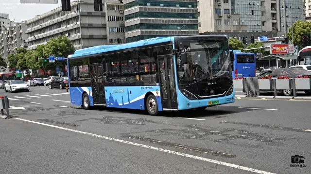 浙B 32162D