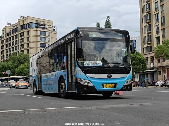 浙J 17289