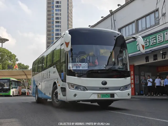 浙J 05975D