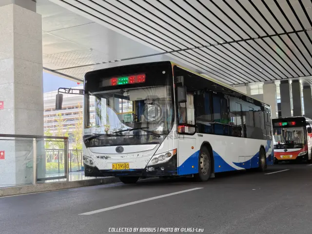 浙J 39580