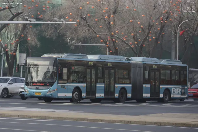 新A B1009