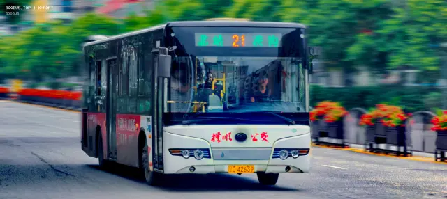辽D42639