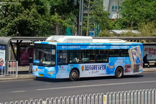 800BUS