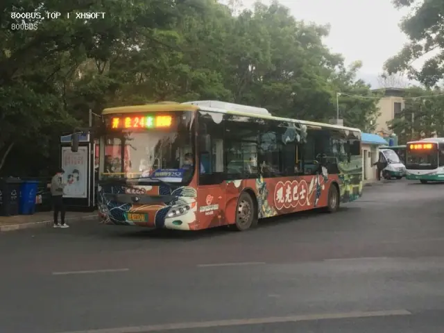 800BUS