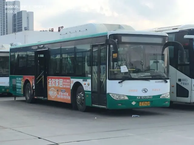 800BUS
