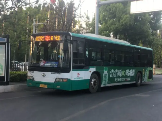 800BUS
