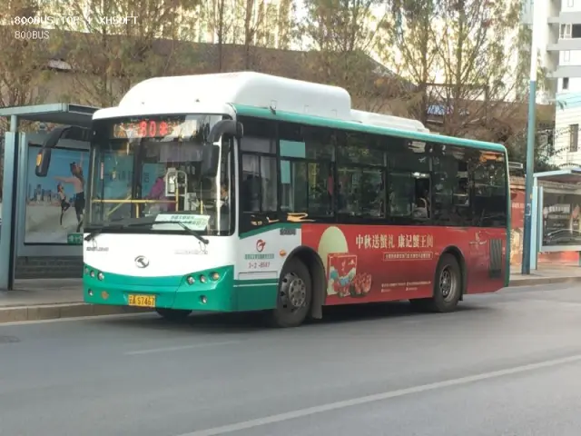 800BUS