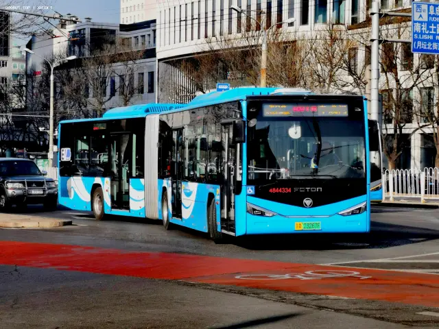 800BUS
