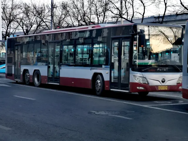 800BUS