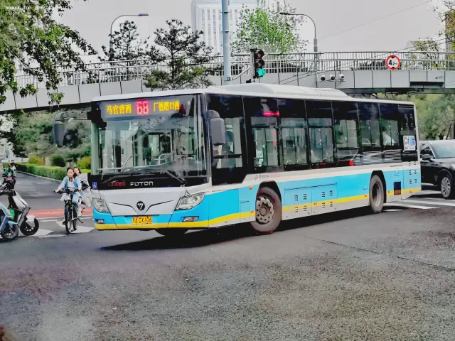 800BUS