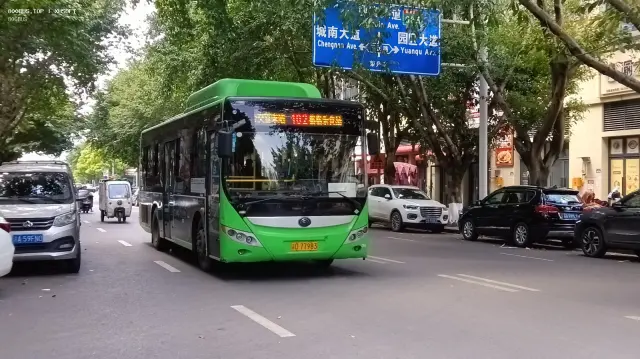 800BUS