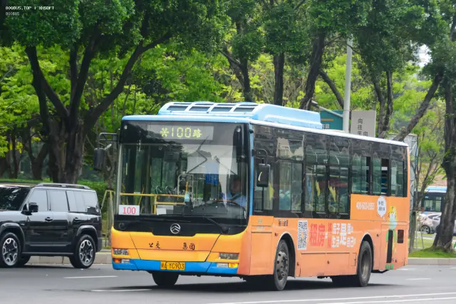 800BUS