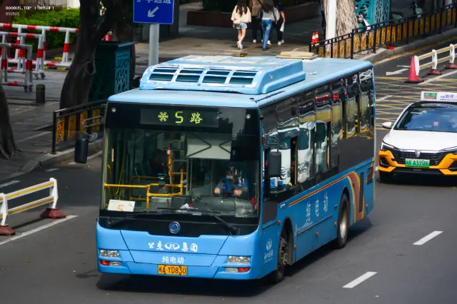 800BUS