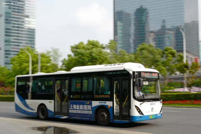 800BUS