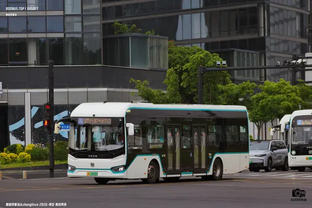 沪A 36262D