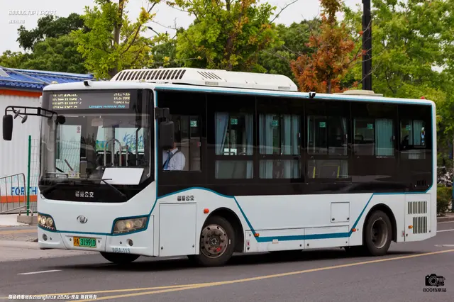 沪A 31991D