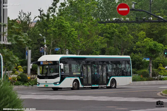 沪A 33251D