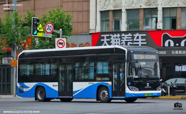 800BUS