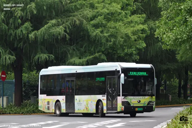 800BUS