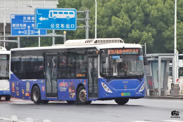 800BUS