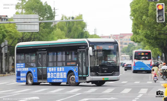 800BUS
