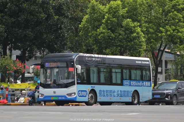 沪A 11575A