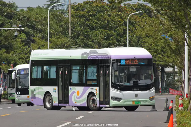 沪A 77067D