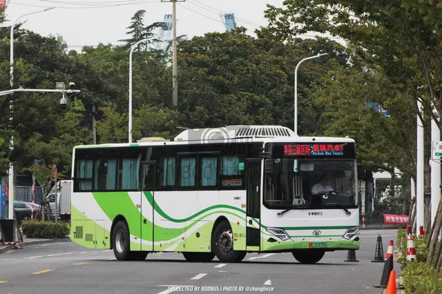 沪A 33379D